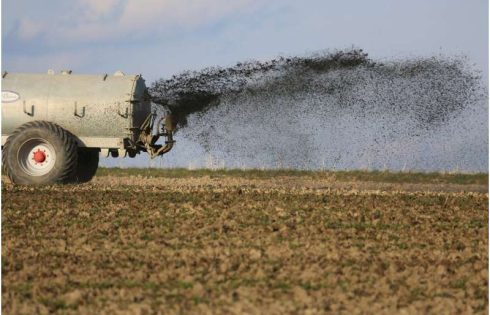 More sustainable agriculture: Recycled fertilizers could be part of the solution