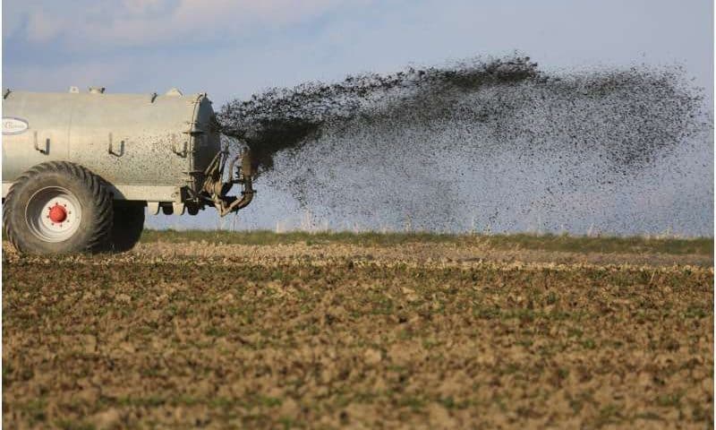 More sustainable agriculture: Recycled fertilizers could be part of the solution