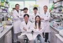 RNA ‘cut-and-patch’ tool repairs faulty messages without altering DNA