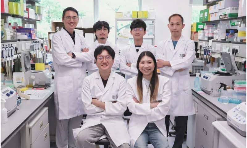RNA ‘cut-and-patch’ tool repairs faulty messages without altering DNA