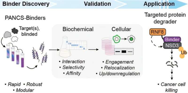 Custom protein binders zero in on near-identical disease targets with unprecedented selectivity