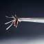 Prenatal Zika exposure may trigger vision, hearing and social changes despite seemingly healthy births